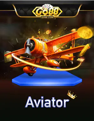 8xx Go Aviator Portrait